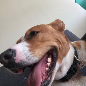 Meet your Posher, Jason